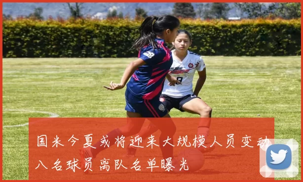 国米今夏或将迎来大规模人员变动八名球员离队名单曝光